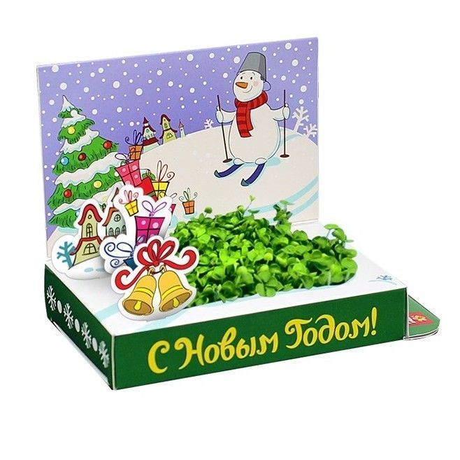 Скриншот 30-07-2024 162630.jpg