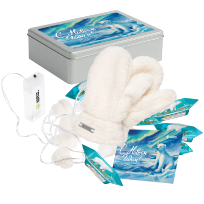 Подарочный набор "Мишка на севере" с брендированием