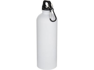 Бутылка для воды с карабином «Орегон», нержавеющая сталь, 750 мл