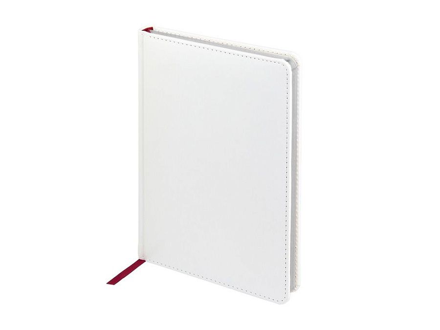 Ежедневник недатированный А5 «Sidney Nebraska» с серебряным срезом