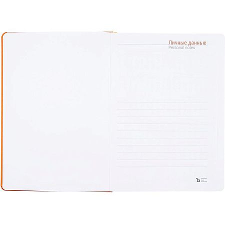 Ежедневник Basis, датированный, оранжевый