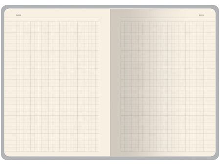 Бизнес тетрадь А5 «Pragmatic»