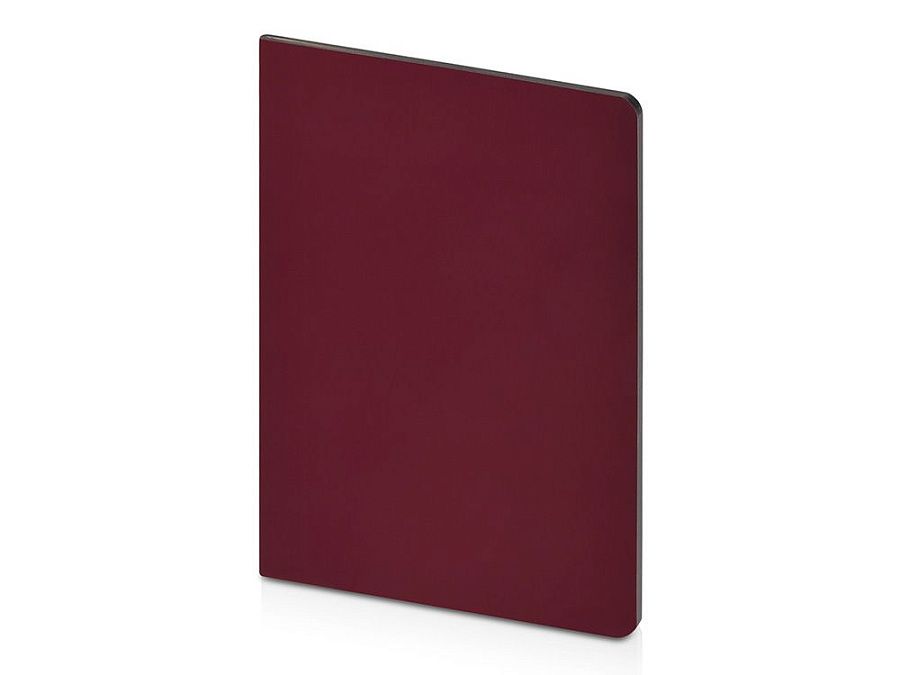 Бизнес-тетрадь А5 «Pragmatic Contrast»