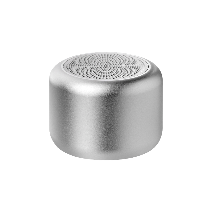 Беспроводная колонка Passion 80dB 600 mAh, серебряная