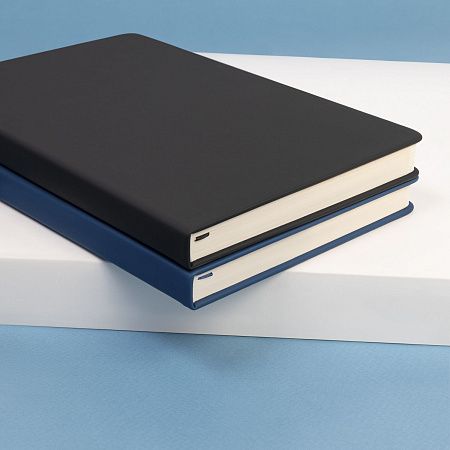 Ежедневник Альфа Битубук (Alpha BtoBook) недатированный, синий (без резинки, без упаковки, без стикера)