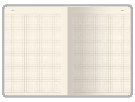 Бизнес-тетрадь А5 «Pragmatic Contrast»