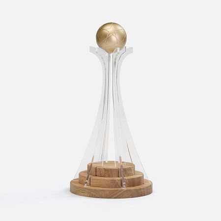 Кубок Everball c 3D-элементами