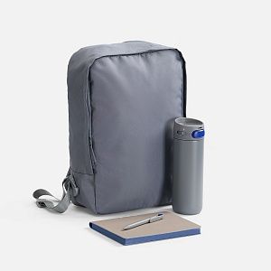 Набор Flexpen Travel, серый с синим