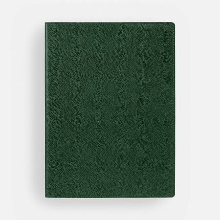 Ежедневник в суперобложке Brave Book, недатированный, зеленый