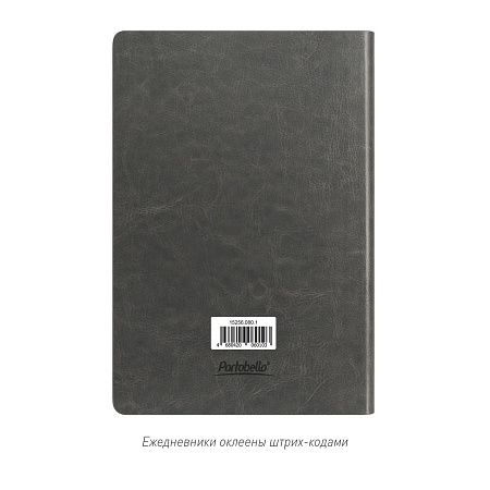 Ежедневник Ривер Сайд (River side) недатированный, серый/красный (без упаковки, без стикера)