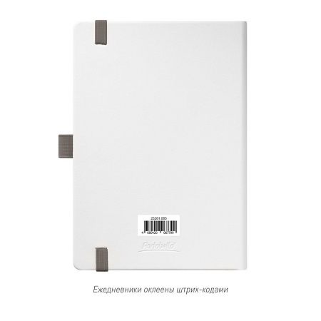Ежедневник Arctic недатированный, белый/темно-серый