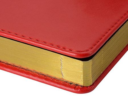 Ежедневник недатированный А5 «Parliament»