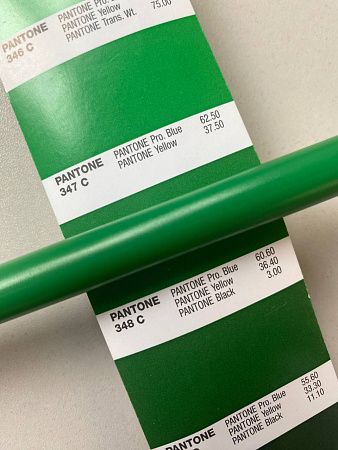 Ручка шариковая IGLA COLOR, пластиковая, зеленая