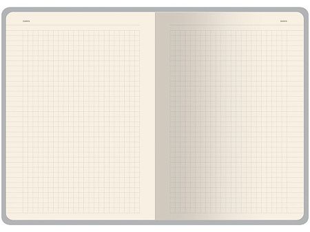 Бизнес тетрадь А5 «Pragmatic»