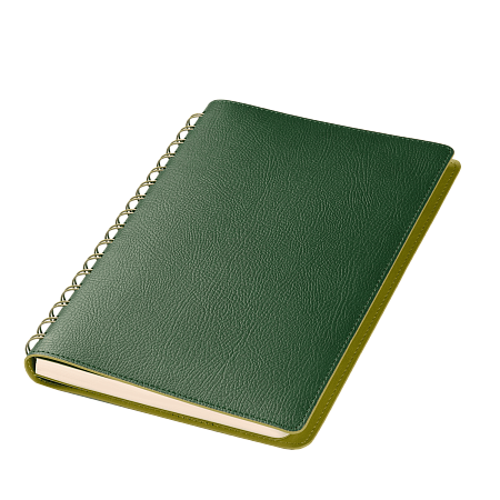 Ежедневник Vista недатированный, зеленый/салатовый