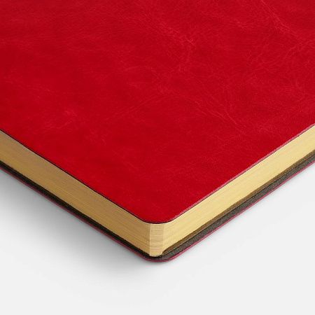 Ежедневник Nebraska Flex, недатированный, красный с золотистым