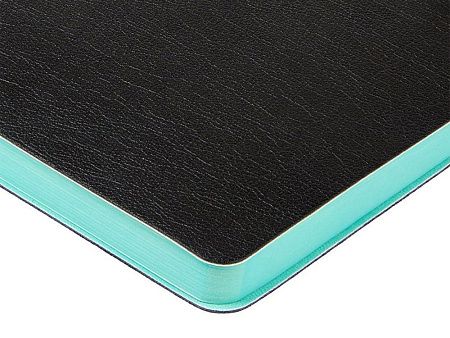 Ежедневник недатированный А5 «Boston»