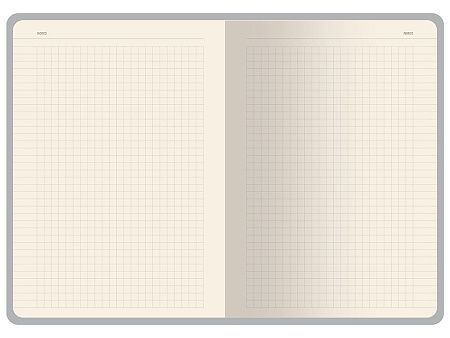 Бизнес-тетрадь А5 «Pragmatic Contrast»