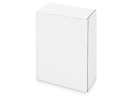 Часы «Государственное устройство Российской Федерации»