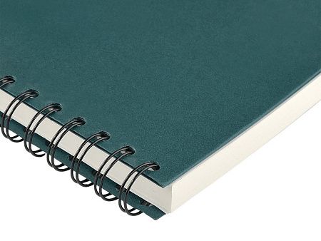 Ежедневник недатированный А5 «Pragmatic»