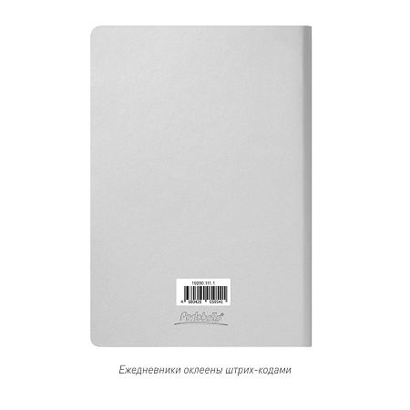 Ежедневник Spark недатированный, серебряный (без упаковки, без стикера)