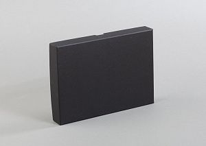 Подарочная коробка без ложемента (крышка-дно, 22 х 3 х 15,5 см)