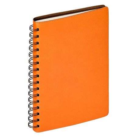 Ежедневник Vista недатированный, оранжевый/коричневый