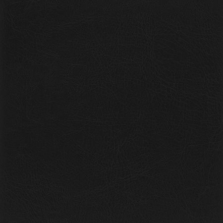 Ежедневник City Buffalo А5, черный, недатированный, в твердой обложке с поролоном