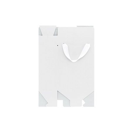 Подарочная коробка-пакет универсальная малая, белая