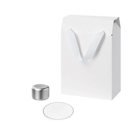 Подарочный набор Пэшн, Аурис (Passion, Auris), серебряный (колонка, зарядное устройство)