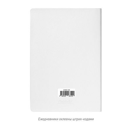 Ежедневник Galaxy недатированный, гибкая обложка, срез голограф. фольга, белый