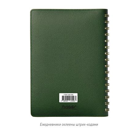 Ежедневник Vista недатированный, зеленый/салатовый