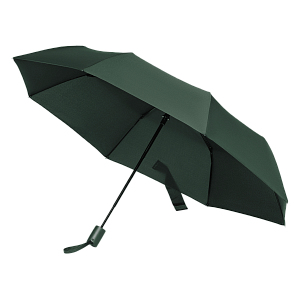 Зонт складной Атланта (Atlanta), зеленый