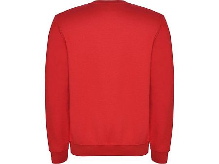 Свитшот с начесом «Clasica» унисекс