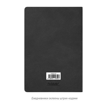 Ежедневник Teolo недатированный, серый