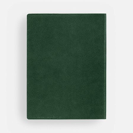 Ежедневник в суперобложке Brave Book, недатированный, зеленый