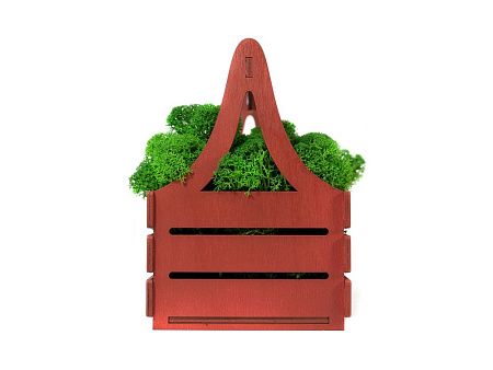 Композиция «Корзинка со мхом»