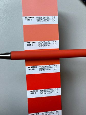 Ручка шариковая Flamingo пластиковая, софт тач, оранжевая