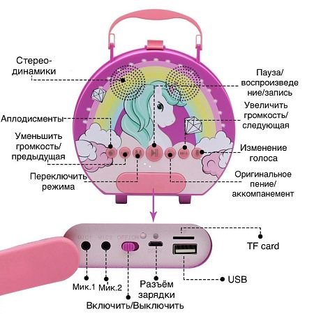 Караоке-колонка с микрофонами, детская