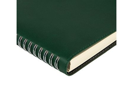 Ежедневник А5 «Tintoretto»