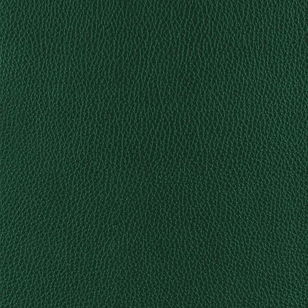 Ежедневник City Lafite А5, зеленый, недатированный, в твердой обложке с поролоном