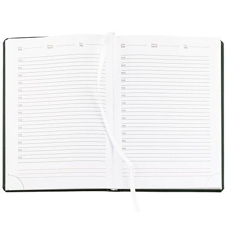 Ежедневник Sagrin, недатированный, зеленый