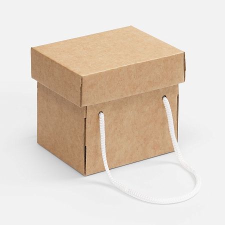 Коробка Kitbag, ver.2, крафт