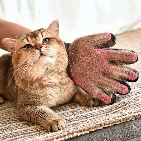 Перчатки для груминга Fur