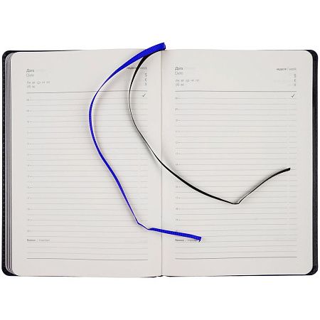 Ежедневник Alanis, недатированный, черный с синим