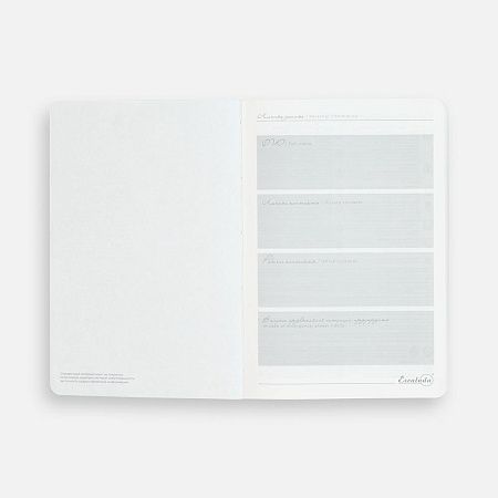 Ежедневник Extra, недатированный, черный