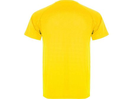 Спортивная футболка «Montecarlo» мужская