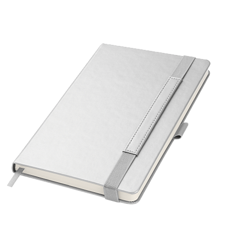 Ежедневник Alpha недатированный, серебро/серый