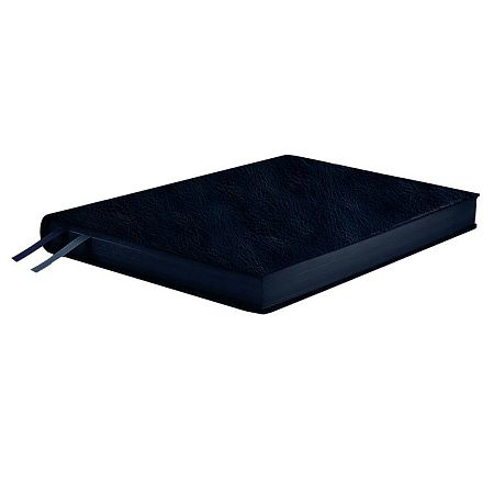 Ежедневник Merida, датированный, синий