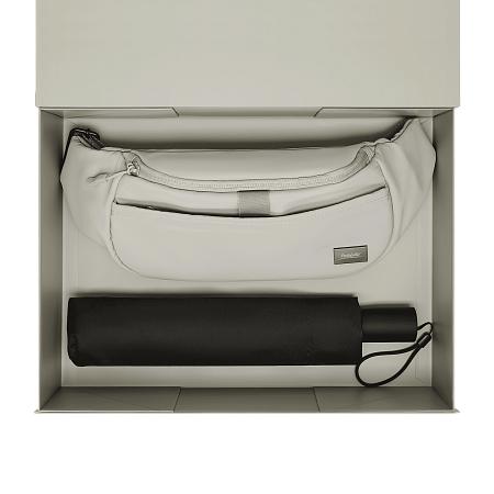 Подарочный набор Boston, Filton, серый (поясная сумка, зонт)